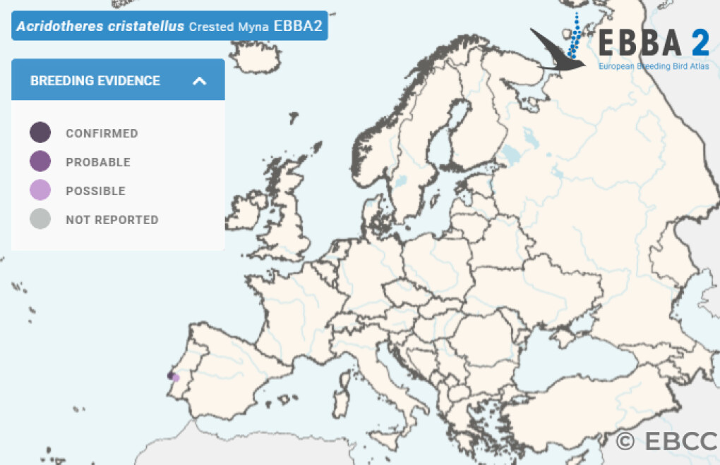 Mapa de Distribuição Europeia