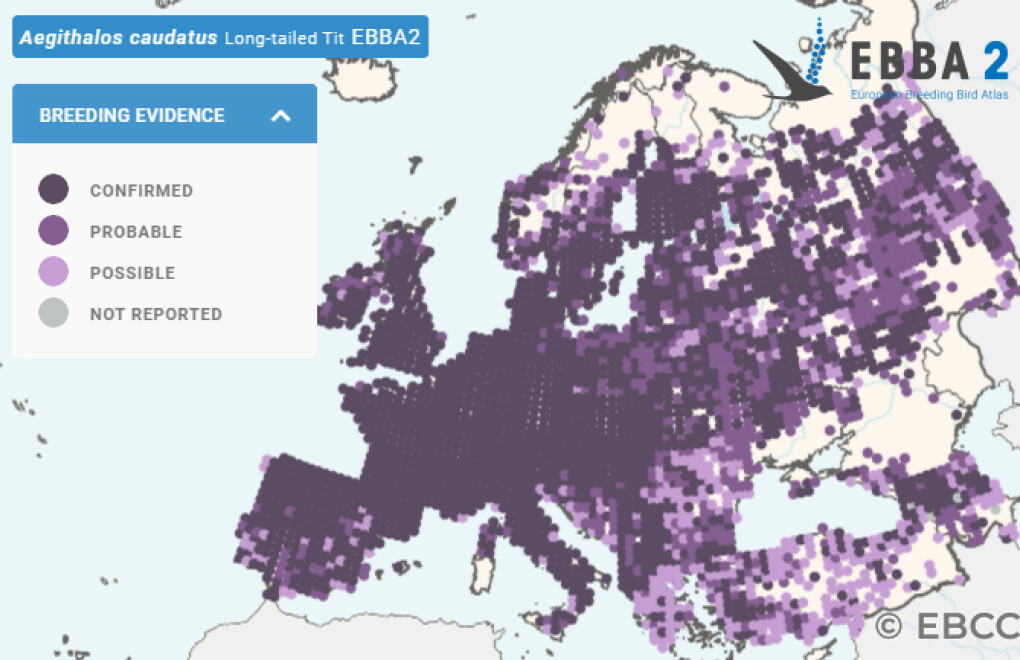 Mapa de Distribuição Europeia