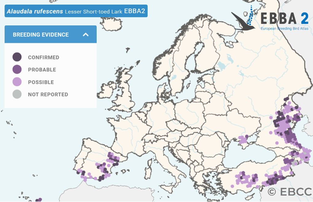 Mapa de Distribuição Europeia