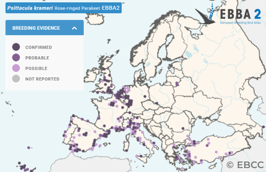 Mapa de Distribuição Europeia