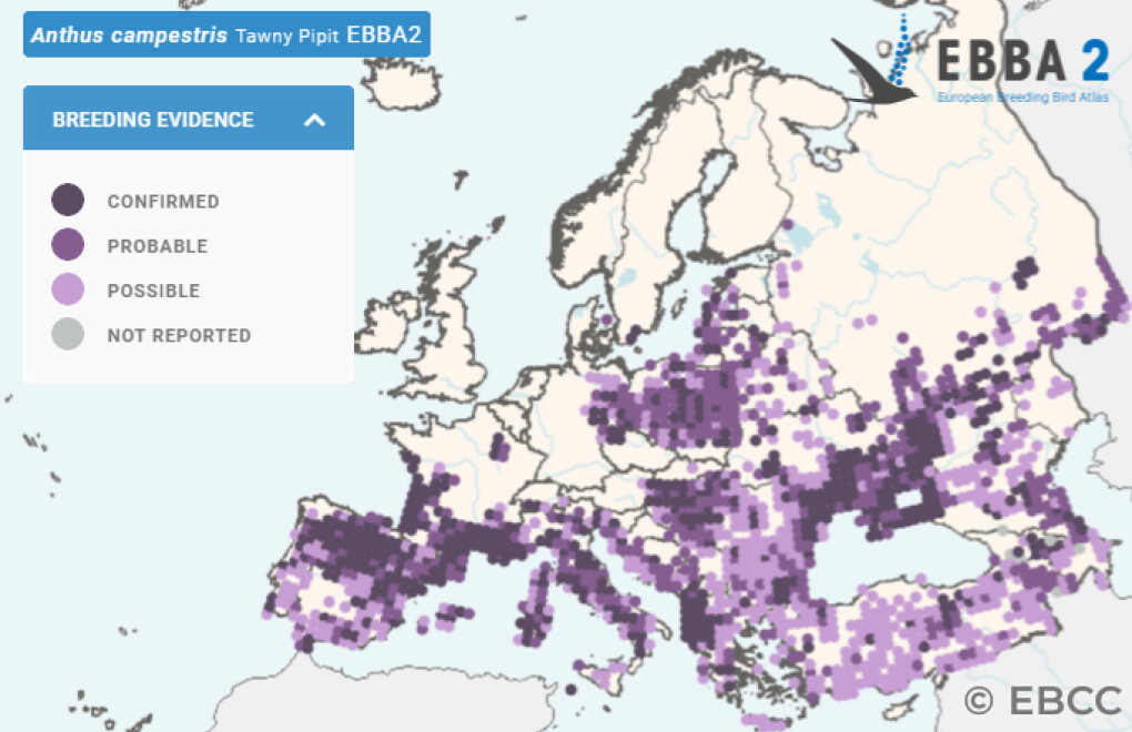 Mapa de Distribuição Europeia