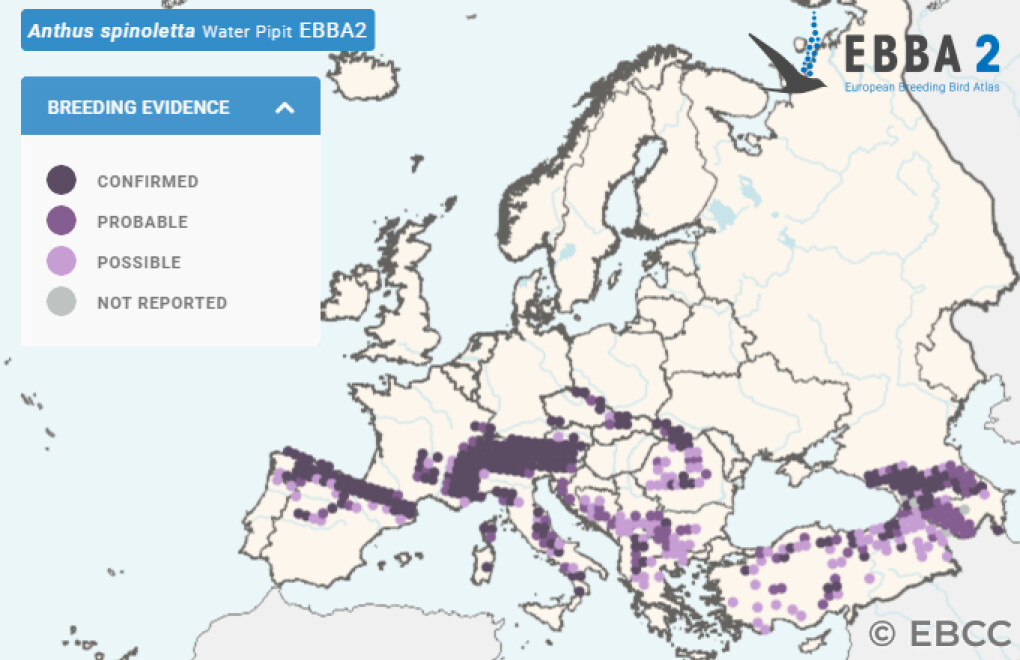 Mapa de Distribuição Europeia