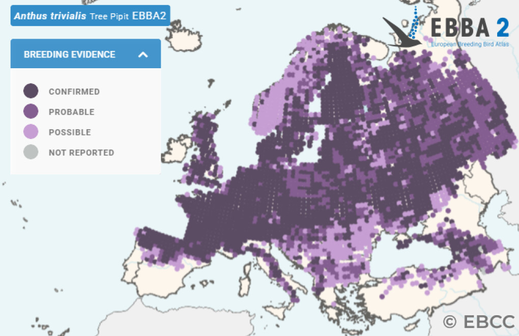 Mapa de Distribuição Europeia