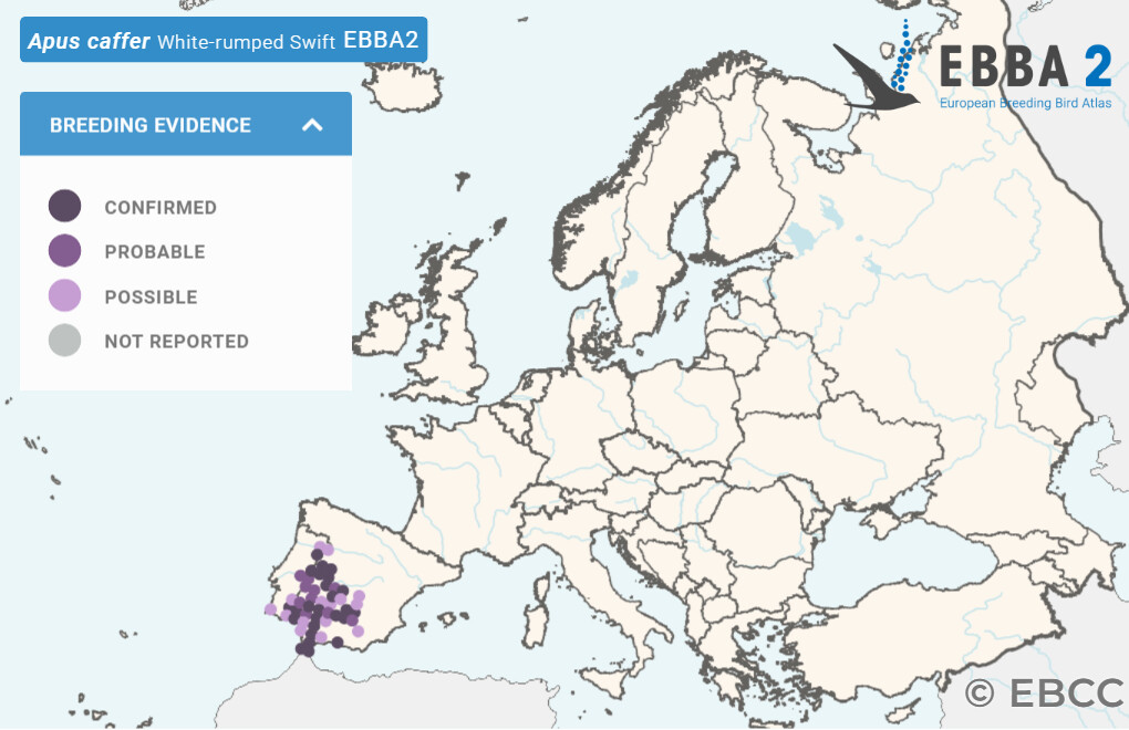 Mapa de Distribuição Europeia