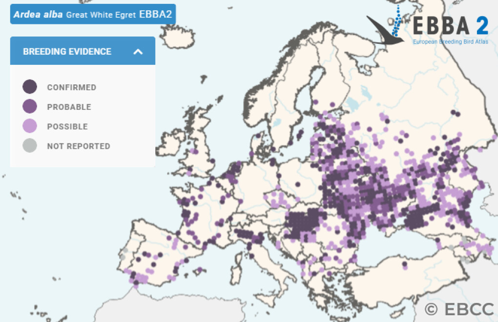 Mapa de Distribuição Europeia