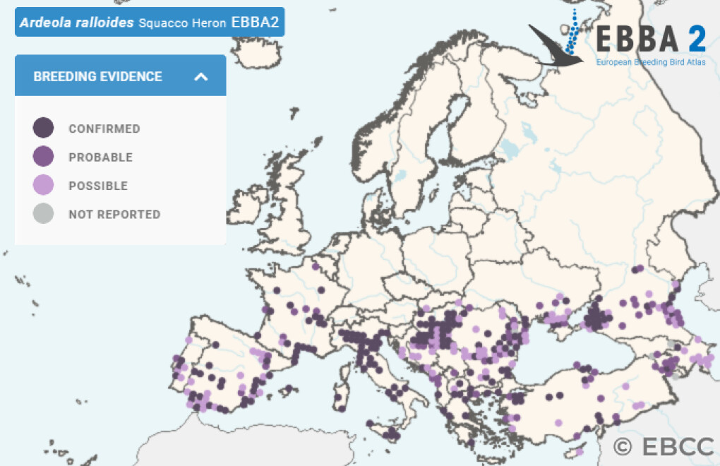 Mapa de Distribuição Europeia