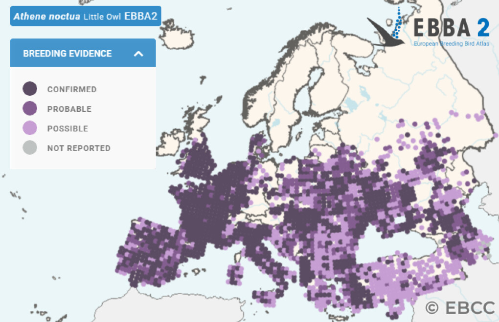 Mapa de Distribuição Europeia