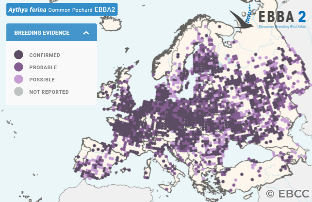 Mapa de Distribuição Europeia