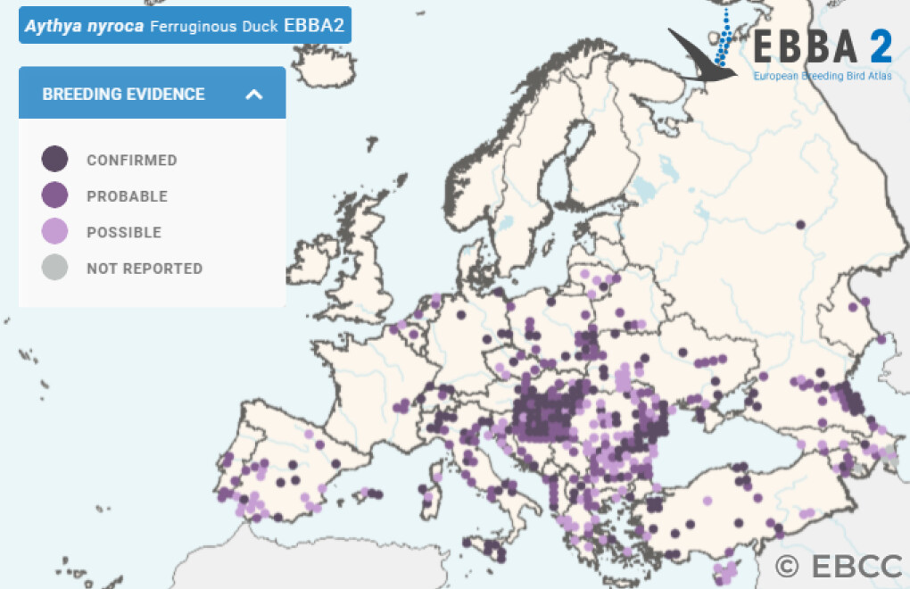 Mapa de Distribuição Europeia