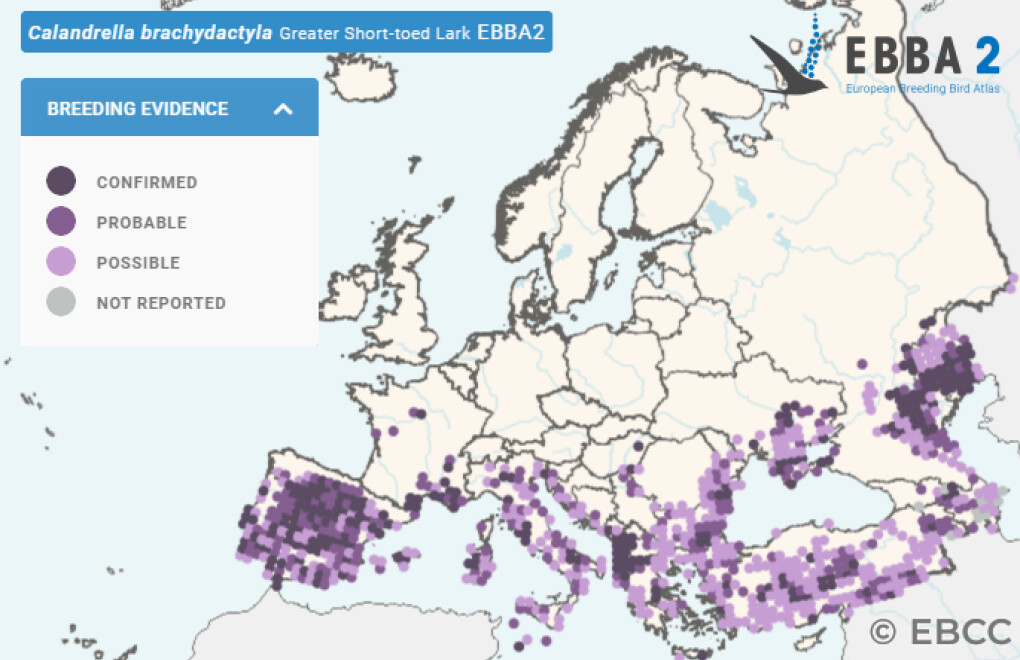 Mapa de Distribuição Europeia