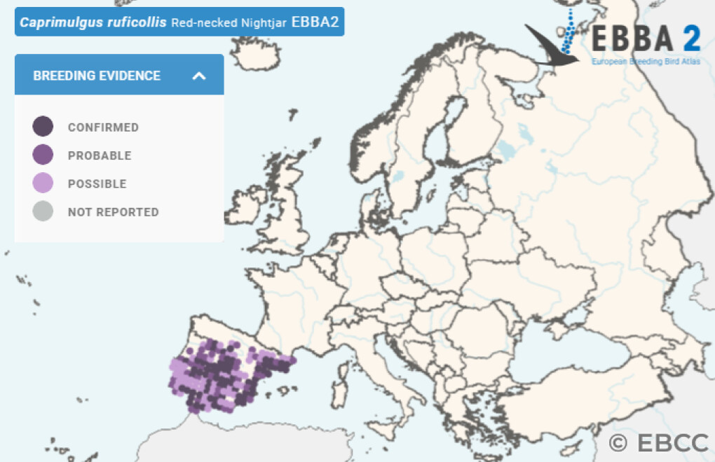 Mapa de Distribuição Europeia
