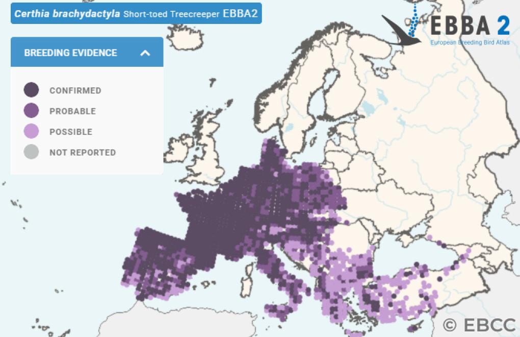 Mapa de Distribuição Europeia