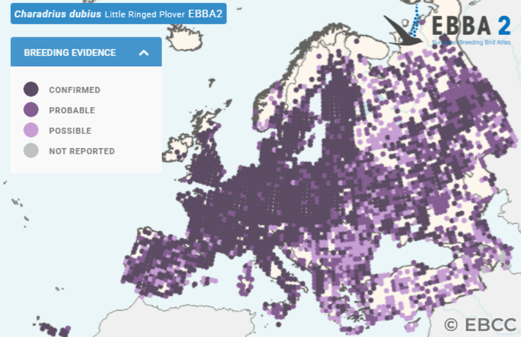 Mapa de Distribuição Europeia