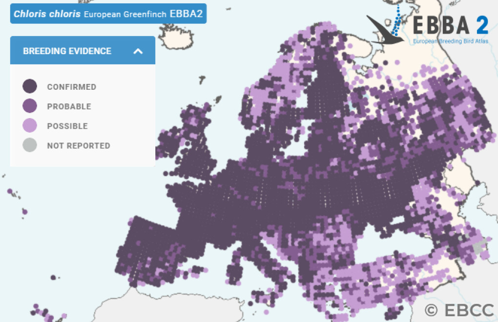 Mapa de Distribuição Europeia