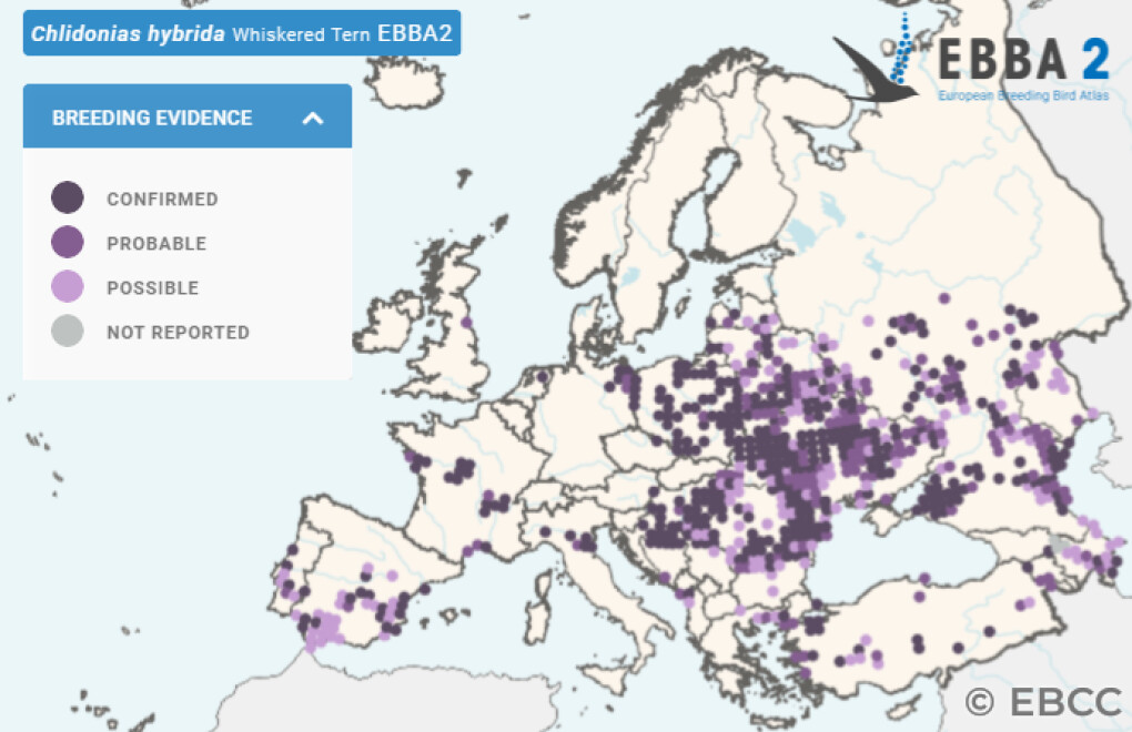 Mapa de Distribuição Europeia