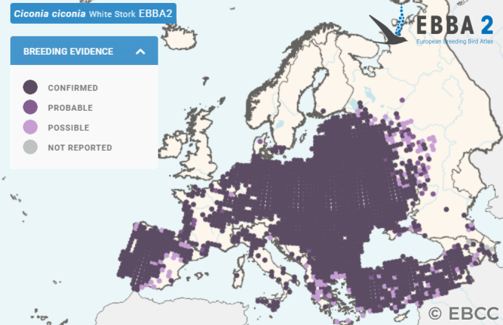 Mapa de Distribuição Europeia