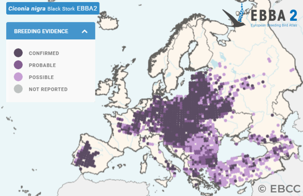 Mapa de Distribuição Europeia