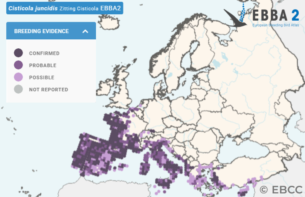 Mapa de Distribuição Europeia