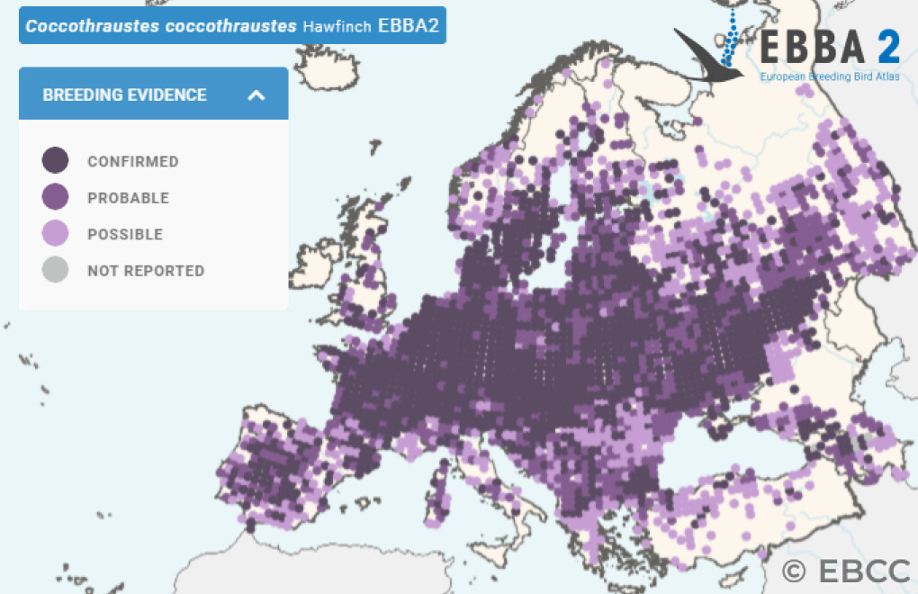 Mapa de Distribuição Europeia