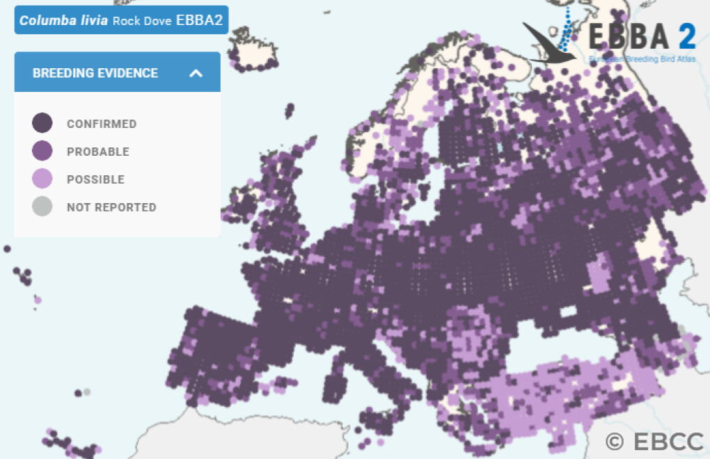Mapa de Distribuição Europeia