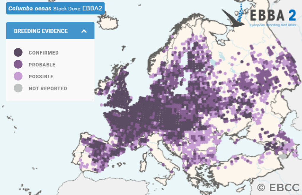 Mapa de Distribuição Europeia