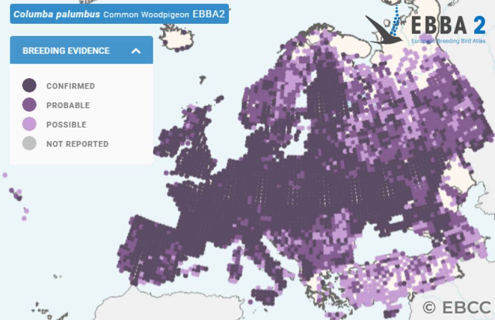 Mapa de Distribuição Europeia
