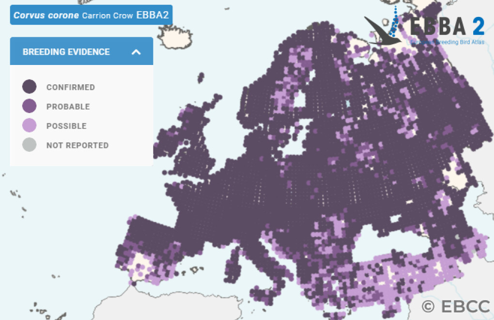 Mapa de Distribuição Europeia