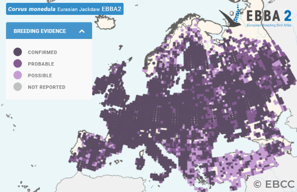Mapa de Distribuição Europeia