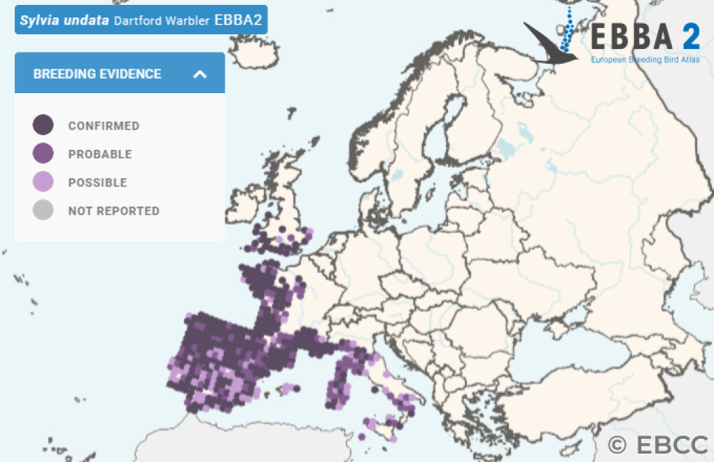 Mapa de Distribuição Europeia