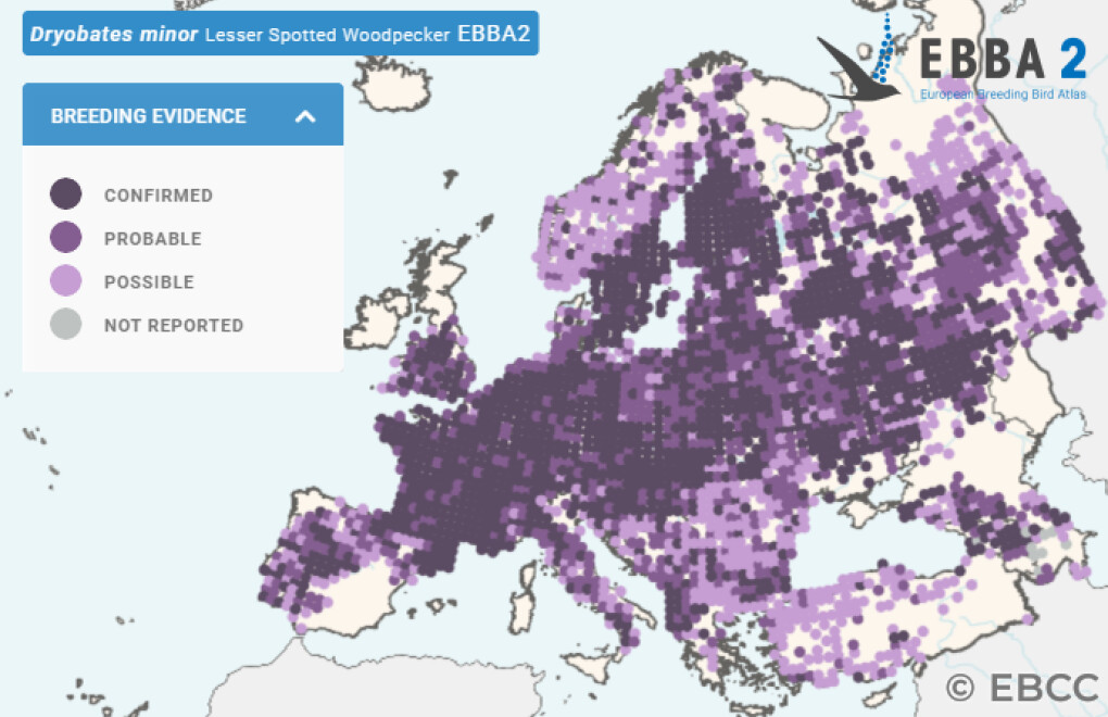 Mapa de Distribuição Europeia