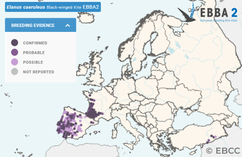 Mapa de Distribuição Europeia