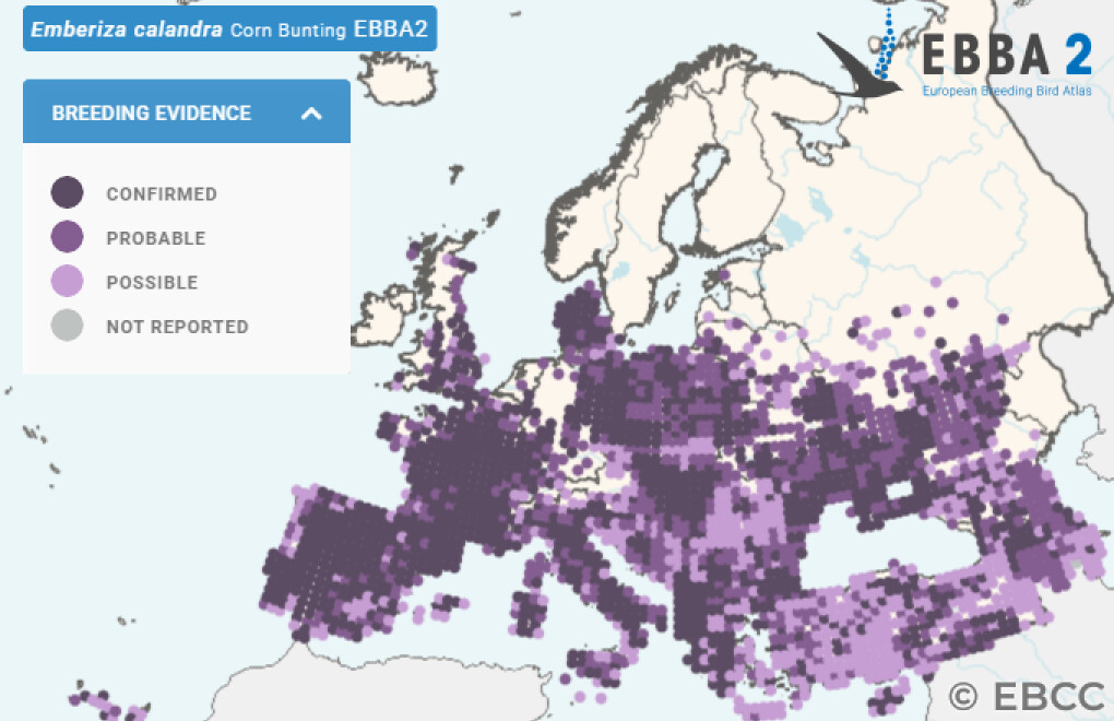 Mapa de Distribuição Europeia