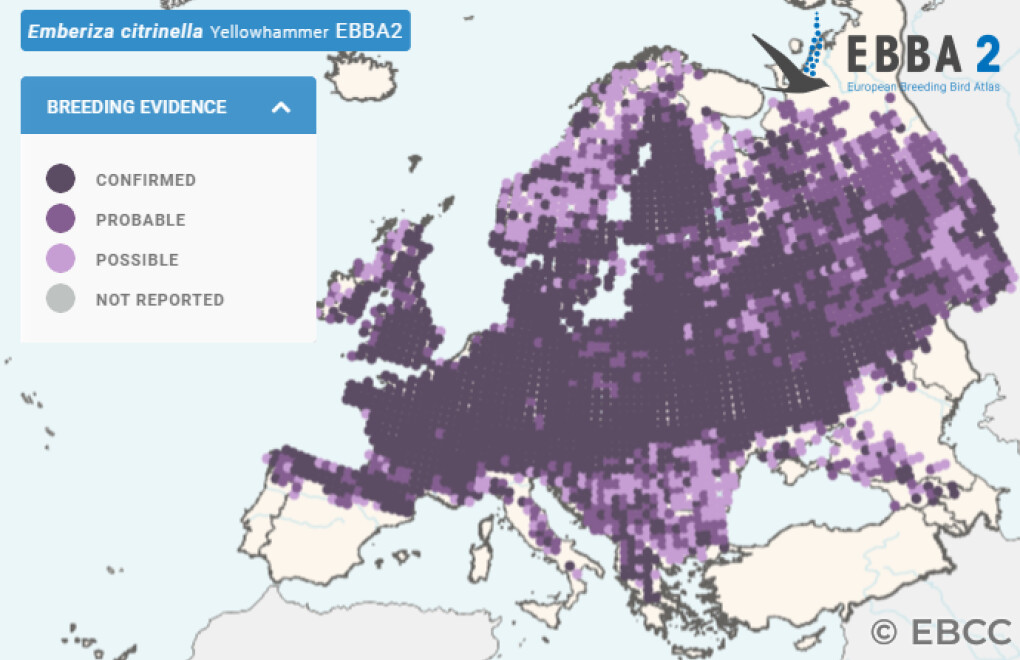 Mapa de Distribuição Europeia