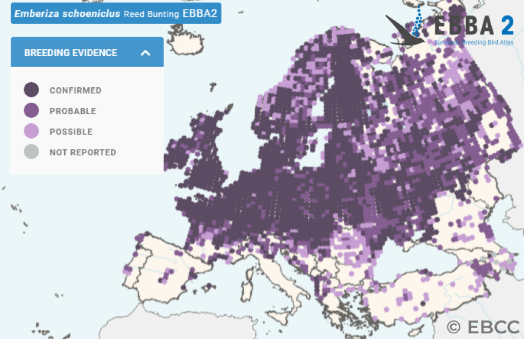 Mapa de Distribuição Europeia