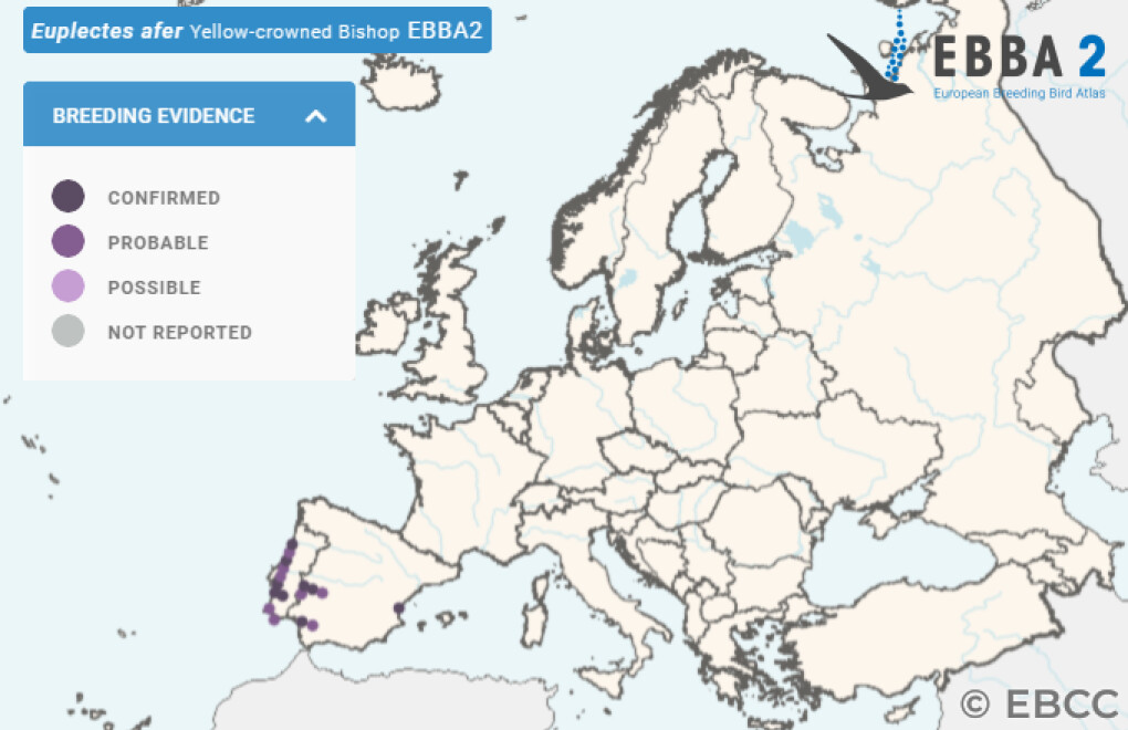 Mapa de Distribuição Europeia