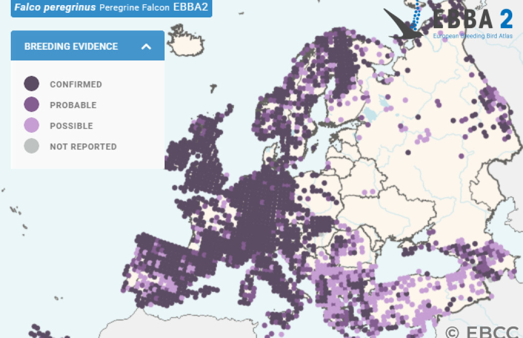 Mapa de Distribuição Europeia