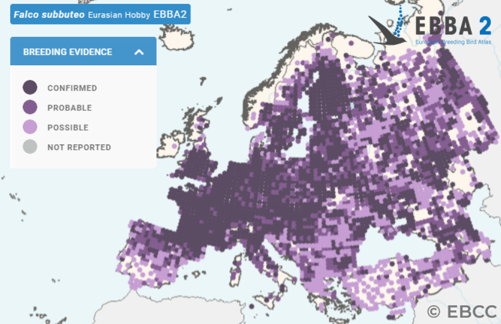 Mapa de Distribuição Europeia