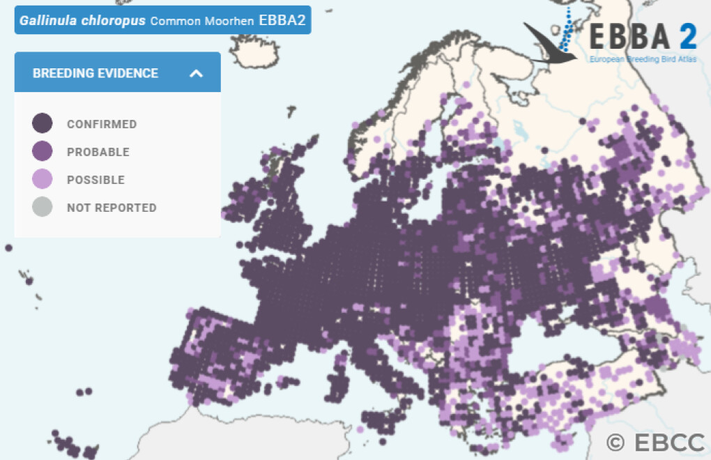 Mapa de Distribuição Europeia