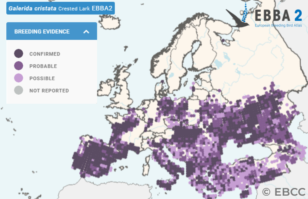 Mapa de Distribuição Europeia