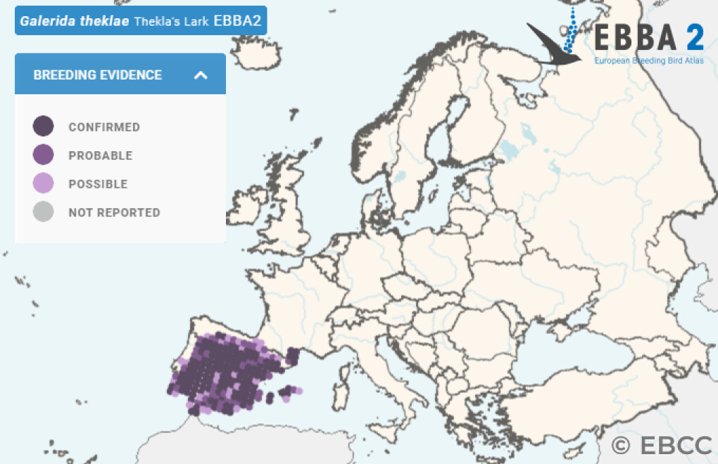 Mapa de Distribuição Europeia