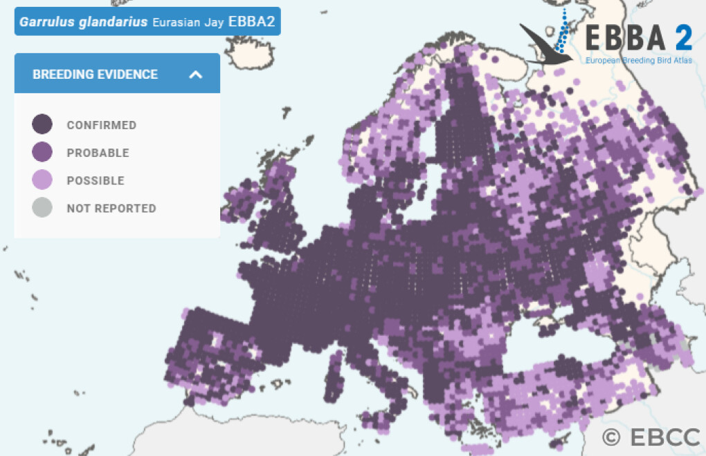 Mapa de Distribuição Europeia