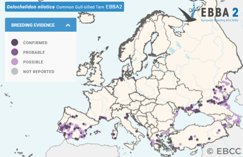Mapa de Distribuição Europeia