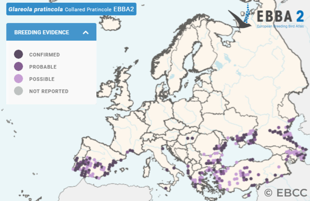 Mapa de Distribuição Europeia