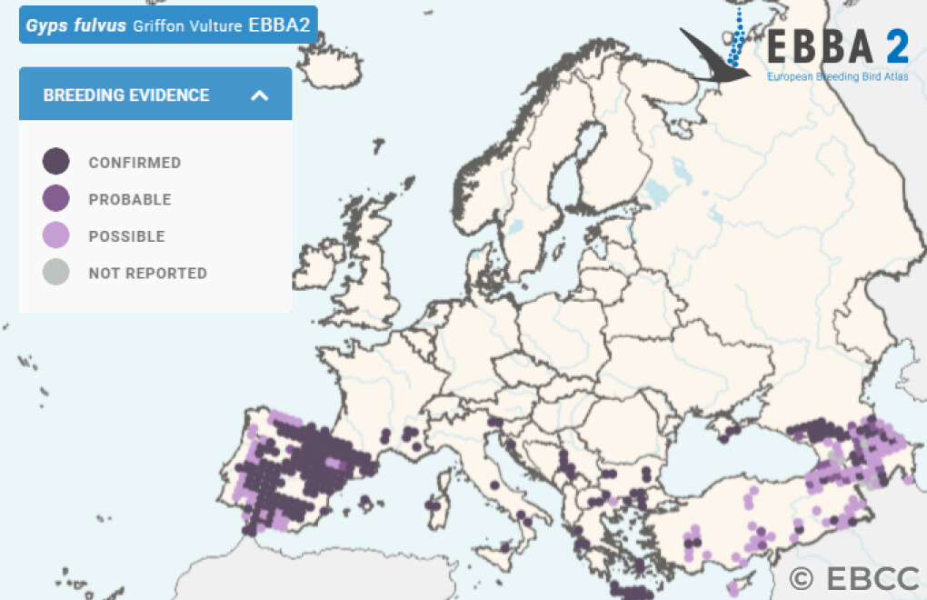 Mapa de Distribuição Europeia