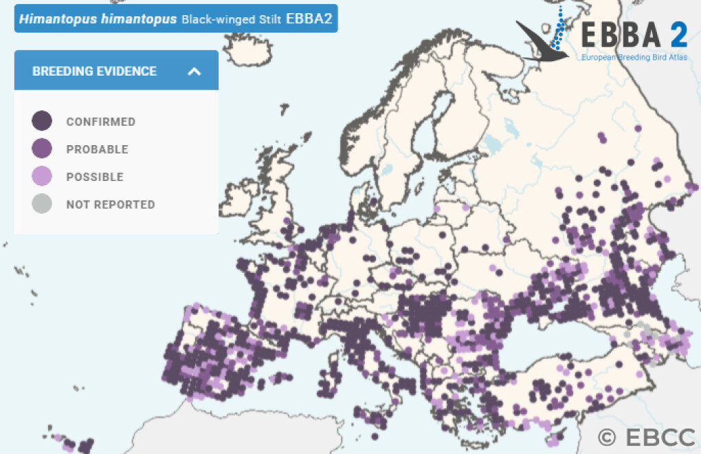 Mapa de Distribuição Europeia