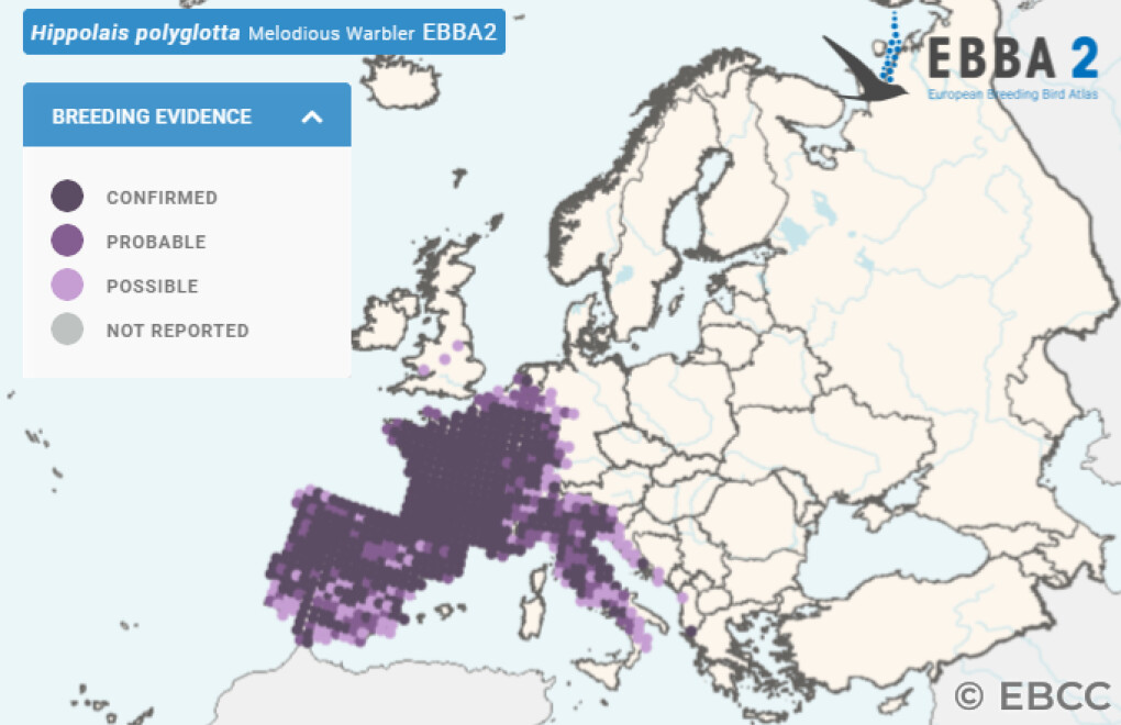 Mapa de Distribuição Europeia