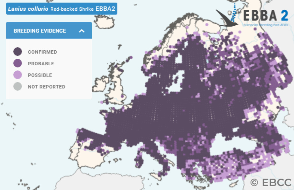 Mapa de Distribuição Europeia