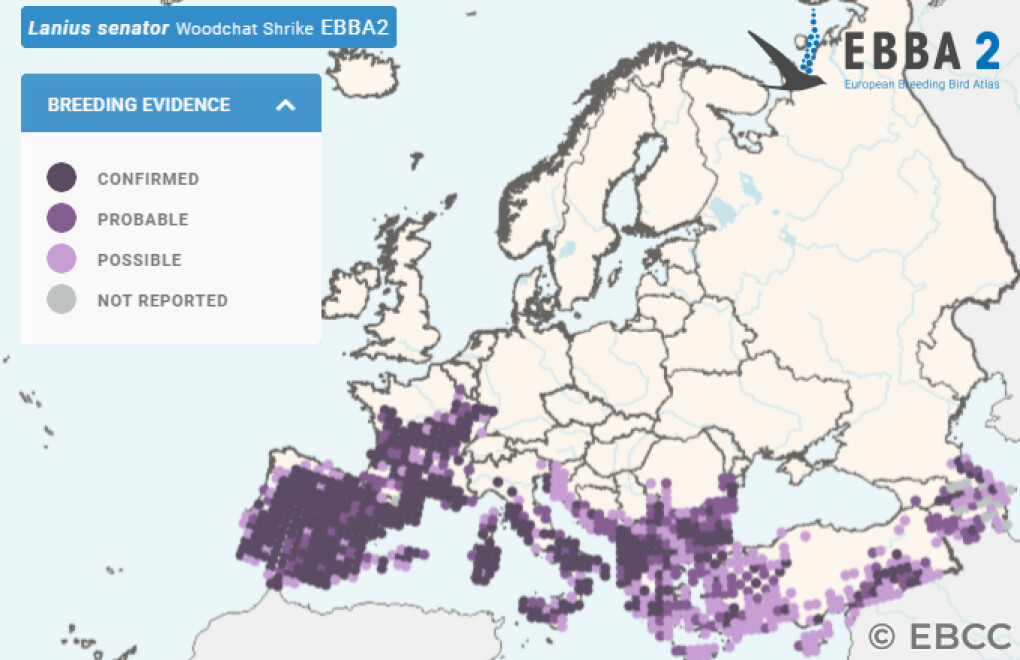 Mapa de Distribuição Europeia