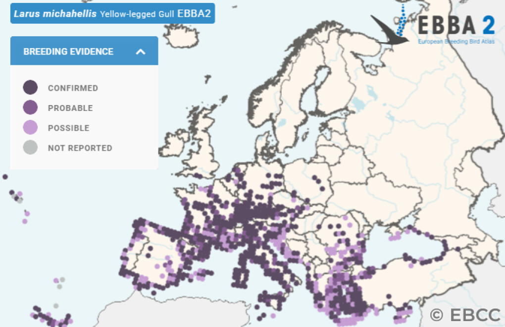 Mapa de Distribuição Europeia