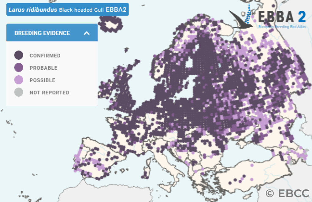 Mapa de Distribuição Europeia